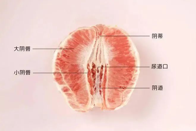 小陰唇整形讓陰唇也能「美體瘦身」